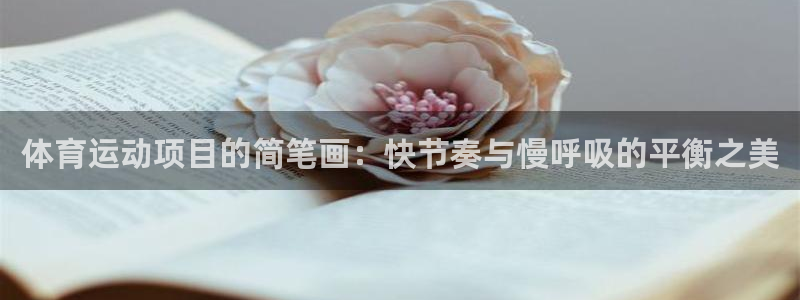杏运3代理：体育运动项目的简笔画：快节奏与慢呼吸的平衡之美