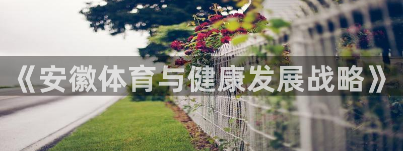杏运体育代理