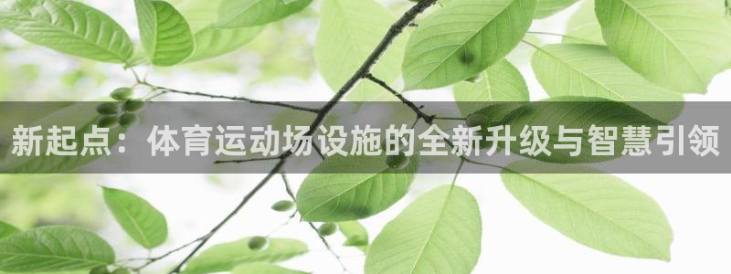 杏运f凯捷注册：新起点：体育运动场设施的全新升级与智慧引领