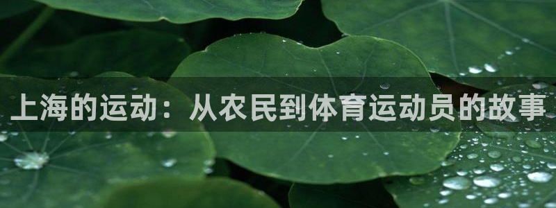意昂体育注册：上海的运动：从农民到体育运动员的故事