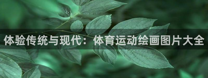 意昂总代：体验传统与现代：体育运动绘画图片大全