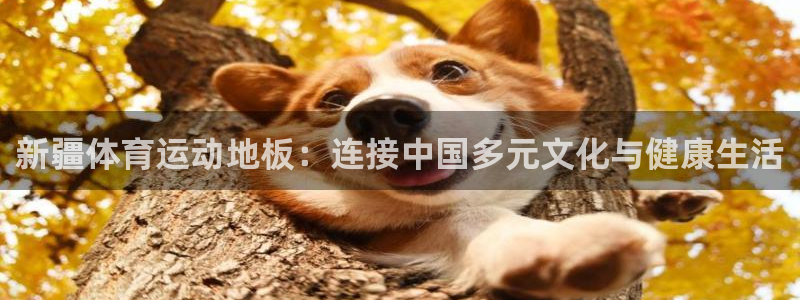 杏运3官网登录：新疆体育运动地板：连接中国多元文化与健康生活