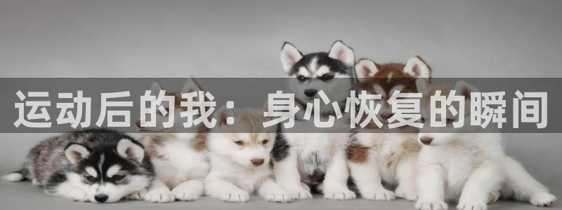 杏运2体育登录入口：运动后的我：身心恢复的瞬间