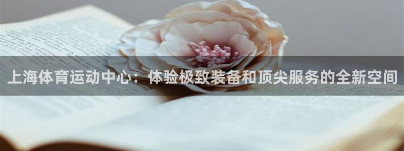 意昂体育官网登录：上海体育运动中心：体验极致装备和顶尖服务的全新空间