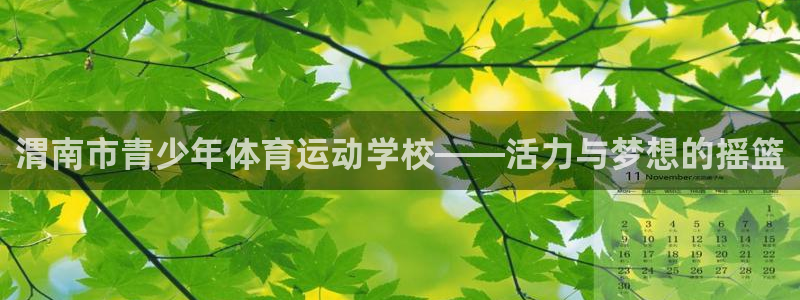 东莞市杏运电子科技有限公司：渭南市青少年体育运动学校——活力与梦想的摇篮