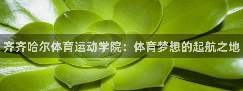 杏运体育app下载：齐齐哈尔体育运动学院：体育梦想的起航之地