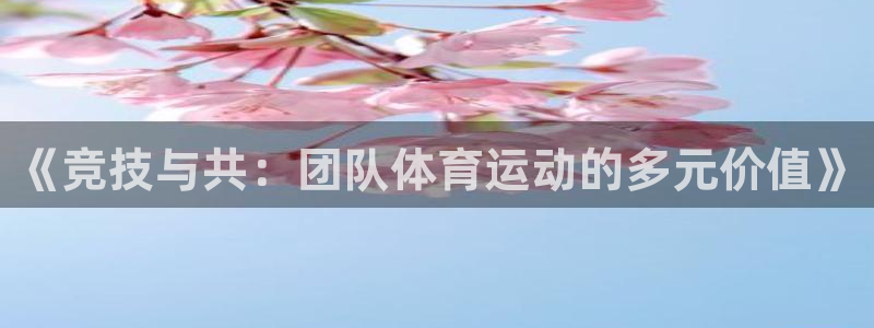 意昂体育：《竞技与共：团队体育运动的多元价值》