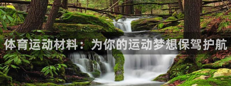 德国意昂集团：体育运动材料：为你的运动梦想保驾护航