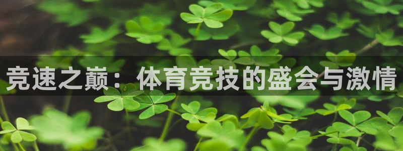 杏运体育凯捷平台招商：竞速之巅：体育竞技的盛会与激情