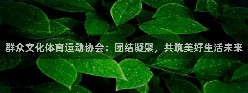 意昂包：群众文化体育运动协会：团结凝聚，共筑美好生活未来