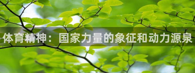 杏运体育和杏耀是哪个公司的：体育精神：国家力量的象征和动力源泉