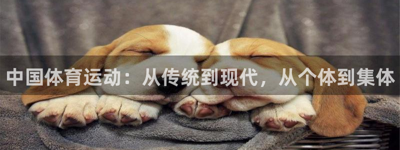 杏运4平台注册：中国体育运动：从传统到现代，从个体到集体