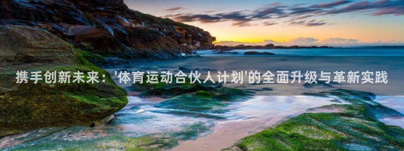 意昂4官网：携手创新未来：\'体育运动合伙人计划\'的全面升级与革新实践
