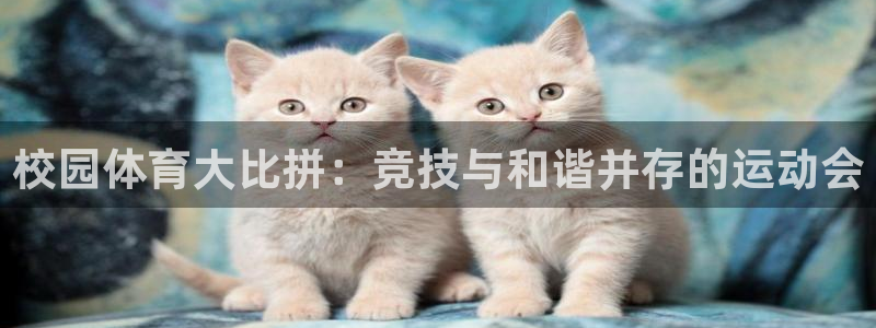 杏运3平台登录注册：校园体育大比拼：竞技与和谐并存的运动会