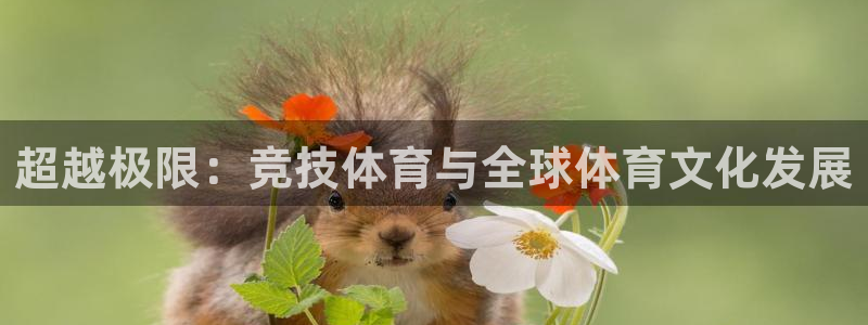 北京意昂科技有限公司：超越极限：竞技体育与全球体育文化发展