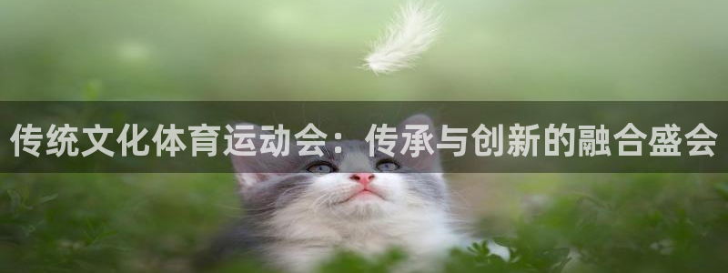 杏运体育凯捷登陆：传统文化体育运动会：传承与创新的融合盛会