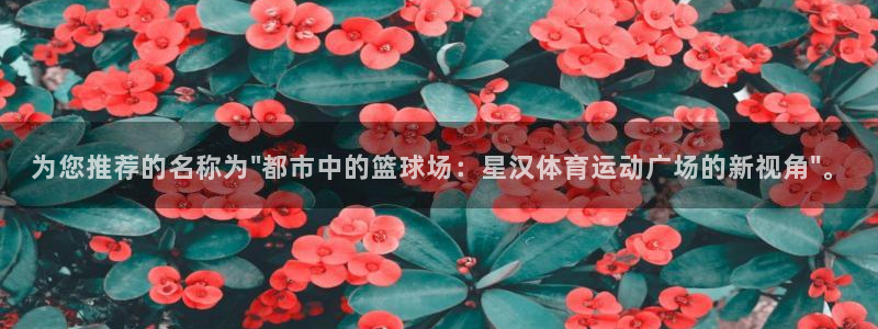 杏运体育注册代理：为您推荐的名称为\