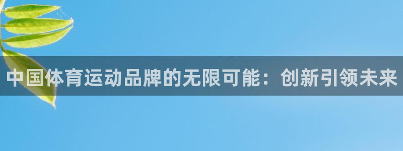 东莞市大朗意昂五金厂：中国体育运动品牌的无限可能：创新引领未来