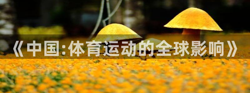 广州市意昂智能科技有限公司：《中国:体育运动的全球影响》