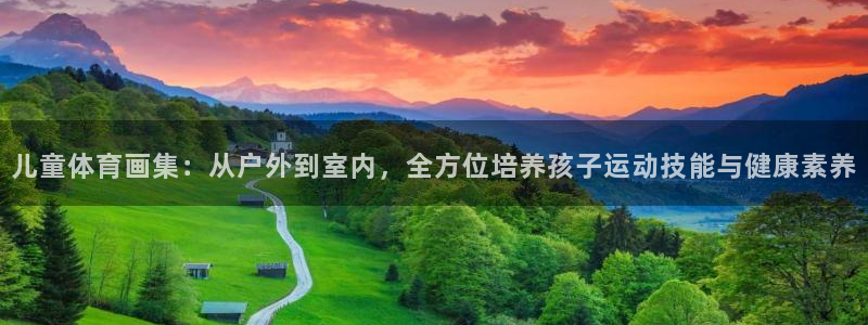 意昂主管：儿童体育画集：从户外到室内，全方位培养孩子运动技能与健康素养