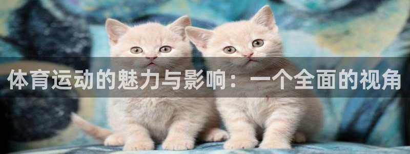 杏运2代理注册：体育运动的魅力与影响：一个全面的视角