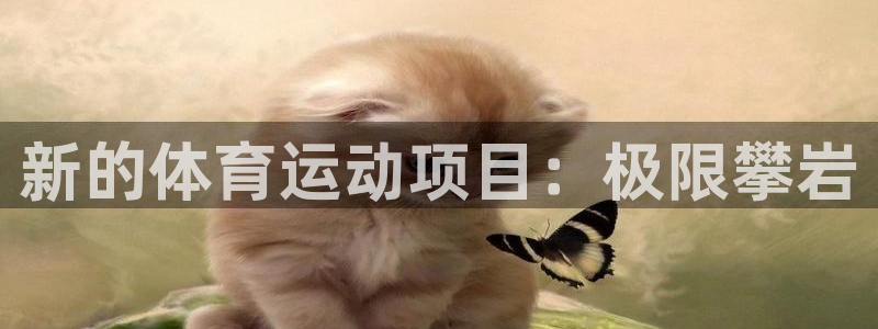 佛山市南海意昂机电仪器有限公司