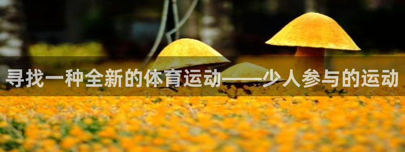 杏运体育app下载：寻找一种全新的体育运动——少人参与的运动