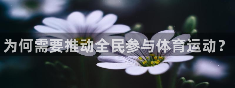 杏运体育平台注册：为何需要推动全民参与体育运动？