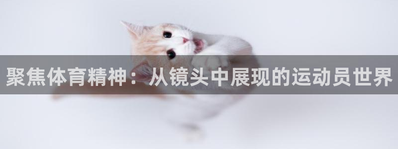 意昂5：聚焦体育精神：从镜头中展现的运动员世界
