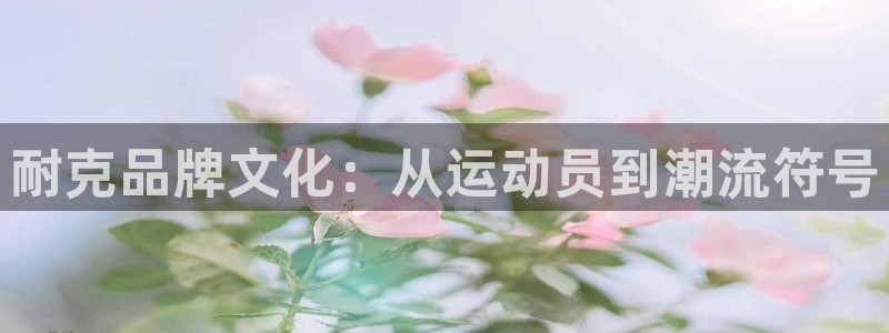 杏运体育凯捷代理注册：耐克品牌文化：从运动员到潮流符号