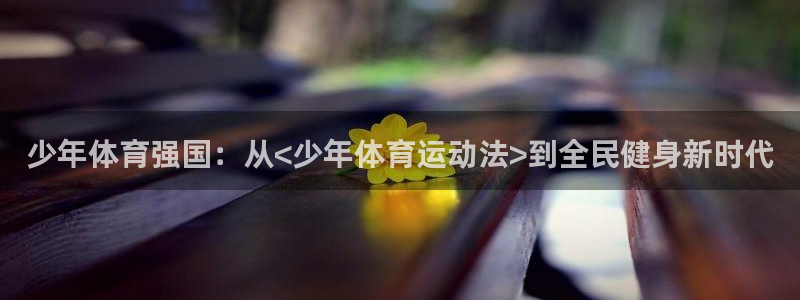 成都意昂电子有限公司：少年体育强国：从<少年体育运动法>到全民健身新时代