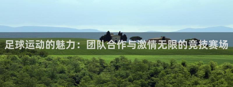 杏运代理注册官网入口：足球运动的魅力：团队合作与激情无限的竞技赛场