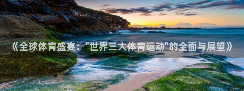 意昂体育注册：《全球体育盛宴：\